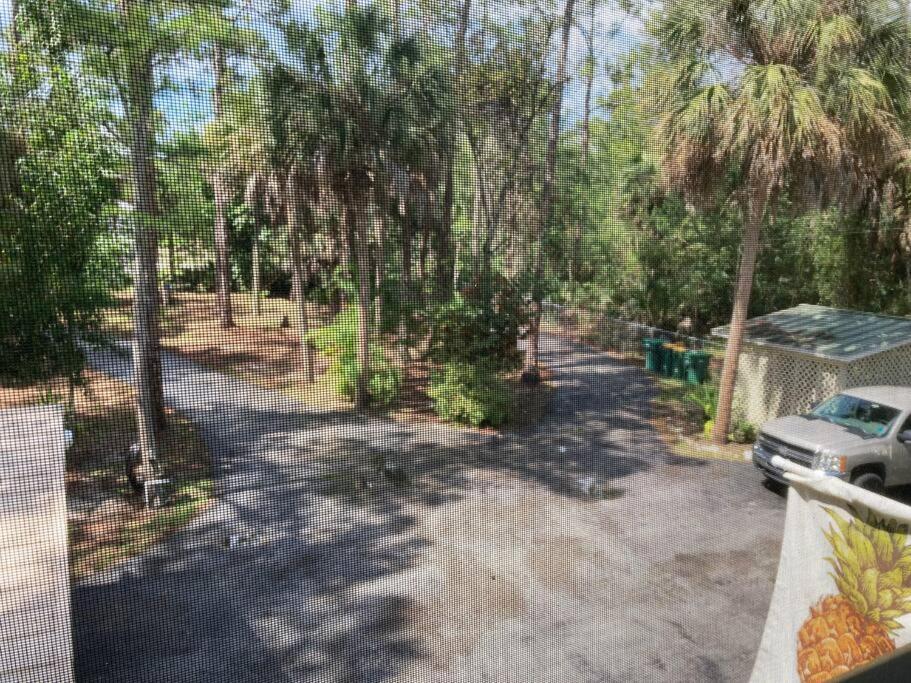 "Mia'S Place" Beautiful Private Apartment Surrounded By Nature North North Naples Exteriör bild